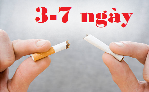 Cách để từ bỏ thói quen hút thuốc lá dễ dàng sau 3-7 ngày